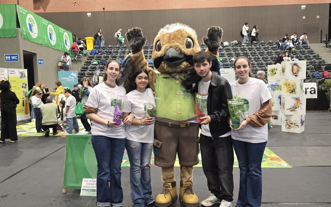 Dia Bandeiras Verdes, Paredes